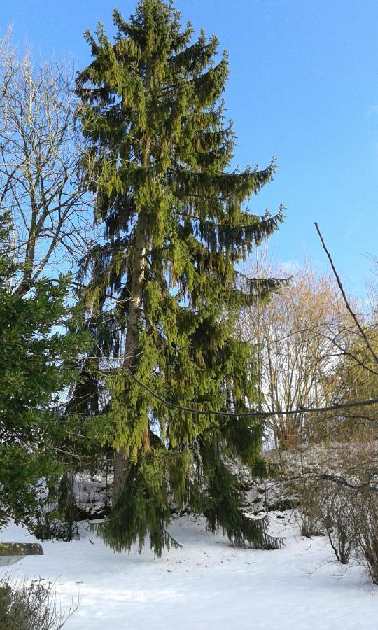 Au Grand Sapin Chambres Chez L'Habitant Henonville Экстерьер фото